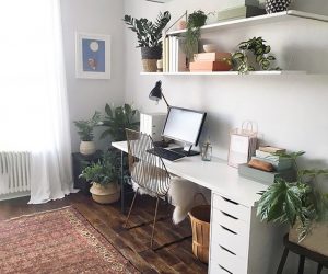 Kết hợp cây xanh trang trí với kệ Kết hợp cây xanh trang trí với kệ